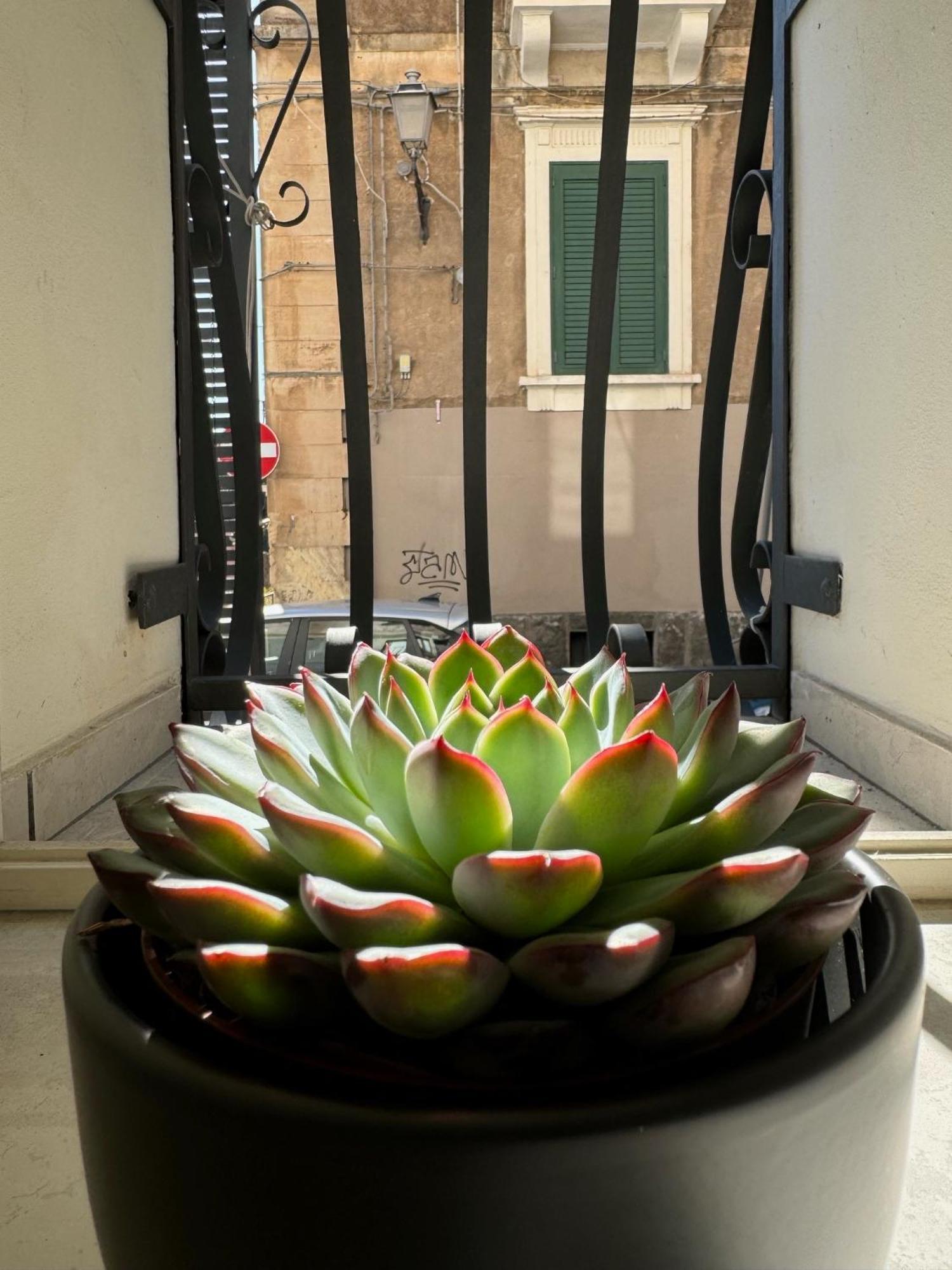 Casa Terme Della Rotonda Villa Katanya Dış mekan fotoğraf